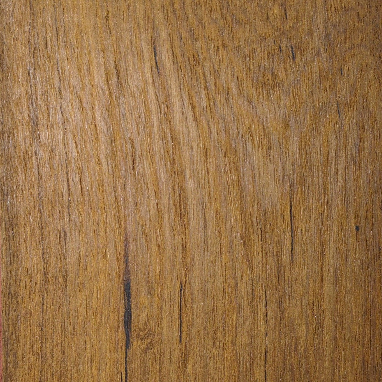 TimberShield AKM Grip