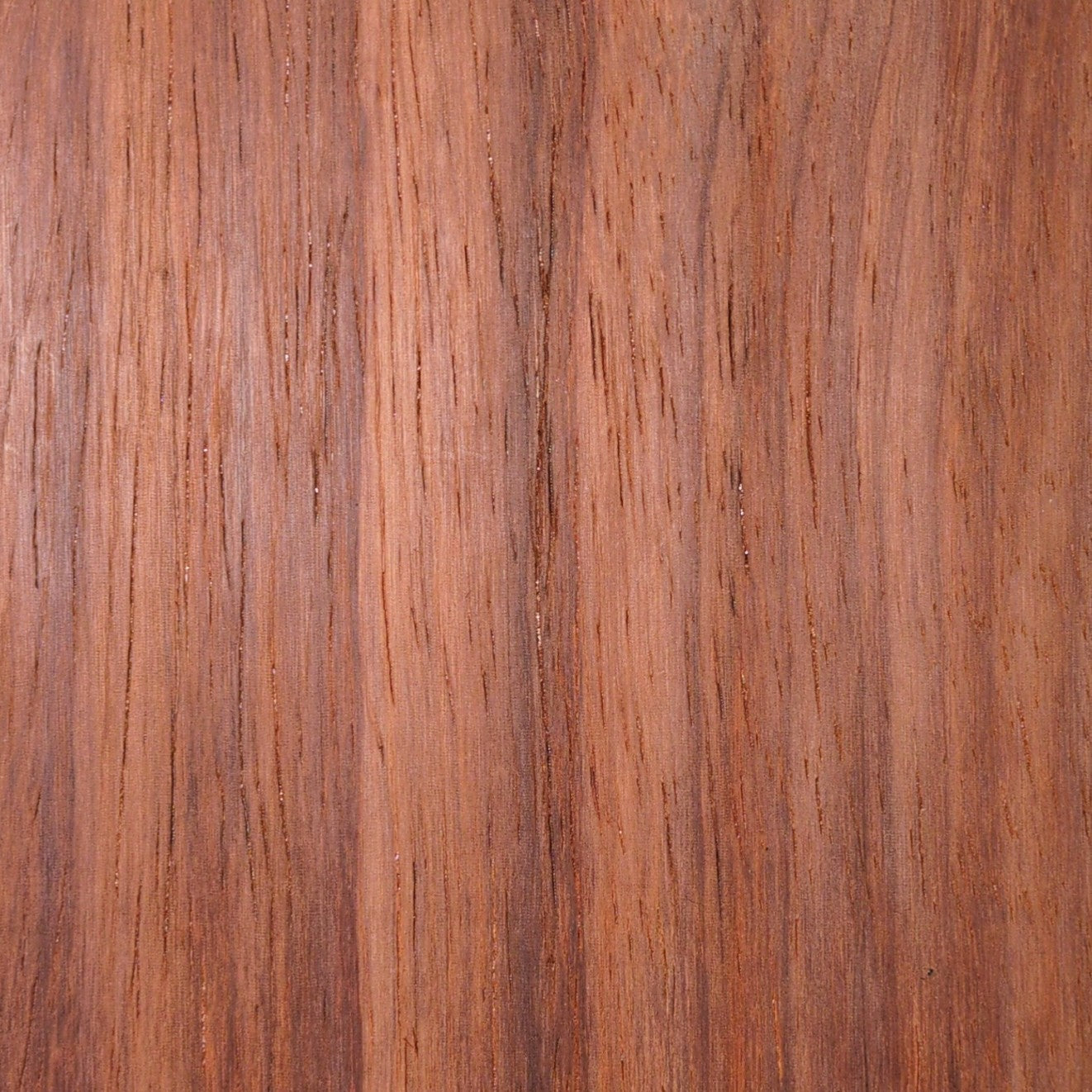 TimberShield AKM Grip